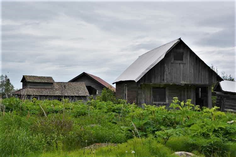 village scene